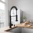 VIGO Edison Pull-down Spray Kitchen Faucet
