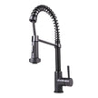 VIGO Edison Pull-down Spray Kitchen Faucet