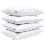 Canadian Down & Feather Company Quilted White Goose Feather Pillow 4-pack