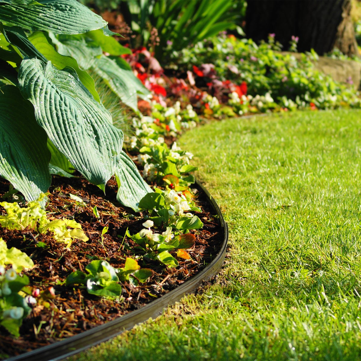 Euroline 48 m (157.5 ft.) Professional Aluminum Garden Edging