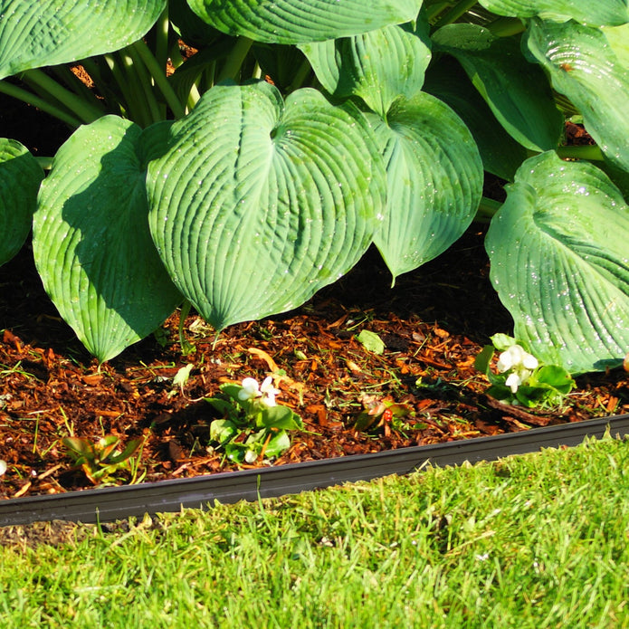 Euroline 48 m (157.5 ft.) Professional Aluminum Garden Edging