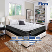 Sealy Posturepedic Moderno Mattress or Set