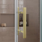 OVE Decors Kelsey 60 in. Sliding Glass Shower Door with Hardware