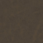 Amisco Clarkson Brown Bar or Counter Stool