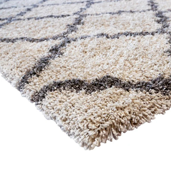 Gertmenian Thomasville Marketplace Shag Rug