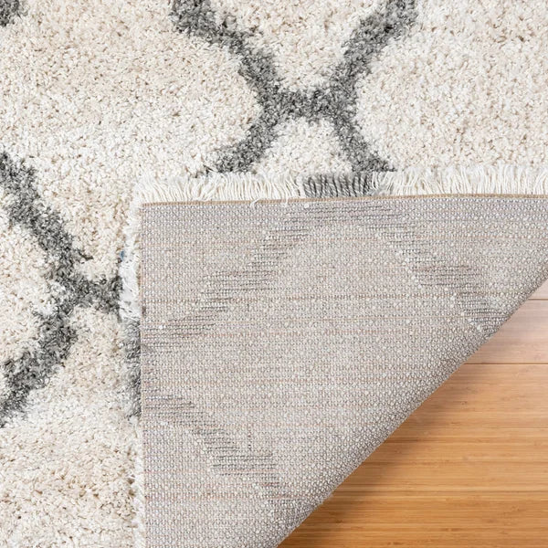 Gertmenian Thomasville Marketplace Shag Rug