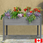 CedarCraft 81 cm (32 in.) Self-watering Elevated Planter with Greenhouse and Cover