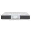 Beautyrest Sterling Thurston Twin Mattress or Set