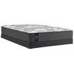 Sealy Posturepedic Stone Harbor Firm Queen Mattress or Set