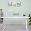 Motionwise Height Adjustable Standing Desk 152.4 cm x 76.2 cm (60 in. x 30 in.)
