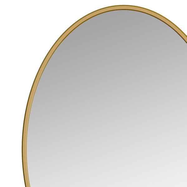 Appollo Prescott 61 cm x 86 cm (24 in. x 34 in.) Oval Modern Metal Framed Mirror