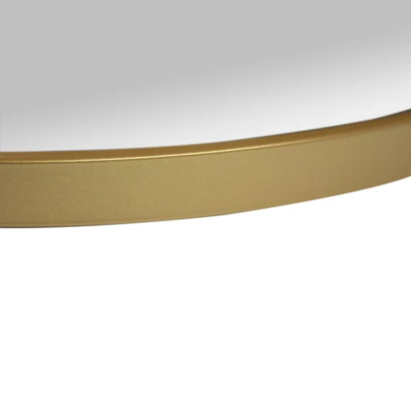 Appollo Prescott 61 cm x 86 cm (24 in. x 34 in.) Oval Modern Metal Framed Mirror