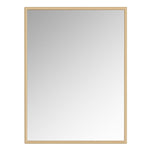 Appollo Hamilton Modern Metal Framed Mirror