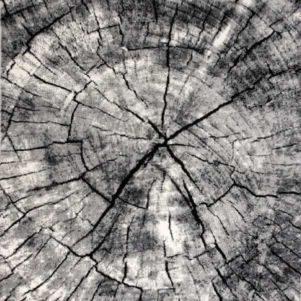 Art Carpet Aden Collection Birch Indoor Area Rug