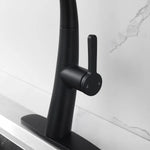 Westmount Waterworks Daulfyn Pull-down Kitchen Faucet