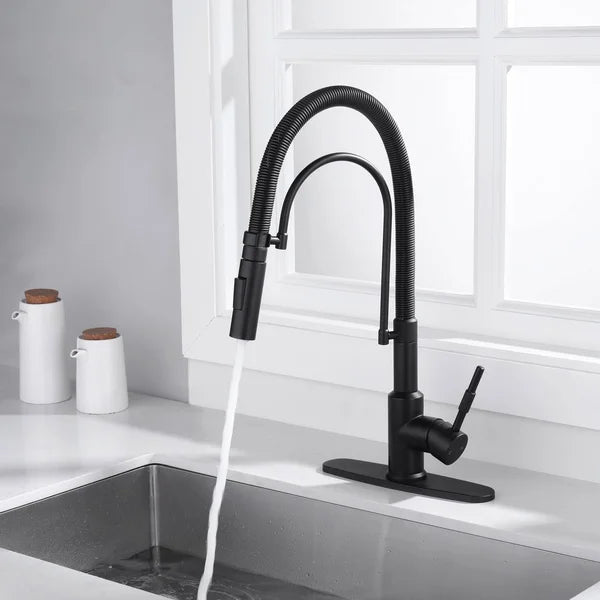 Westmount Waterworks Fitzgerald Spring Kitchen Faucet