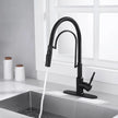 Westmount Waterworks Fitzgerald Spring Kitchen Faucet
