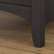 Bush Salinas 2 Drawer Lateral File Cabinet
