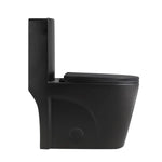 Agua Canada Tyrone 1-piece Dual Flush Toilet