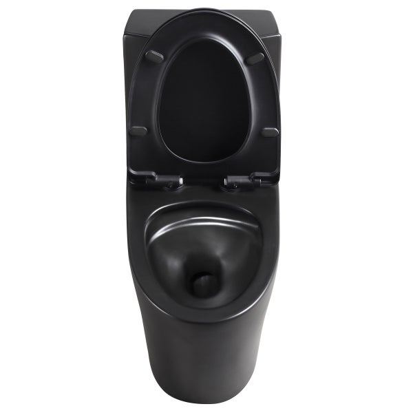 Agua Canada Tyrone 1-piece Dual Flush Toilet