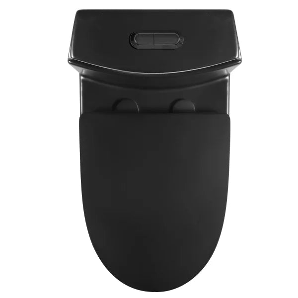 Agua Canada Tyrone 1-piece Dual Flush Toilet