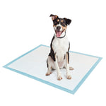 Tango Extra Large Training Pads, 128-count