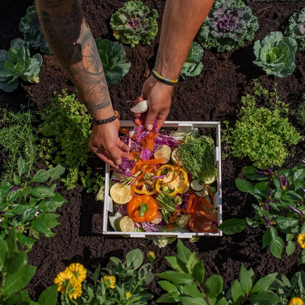 4 ft. x 4 ft. Composting Keyhole Garden Bed