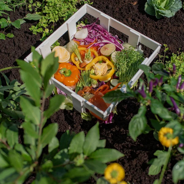 4 ft. x 4 ft. Composting Keyhole Garden Bed