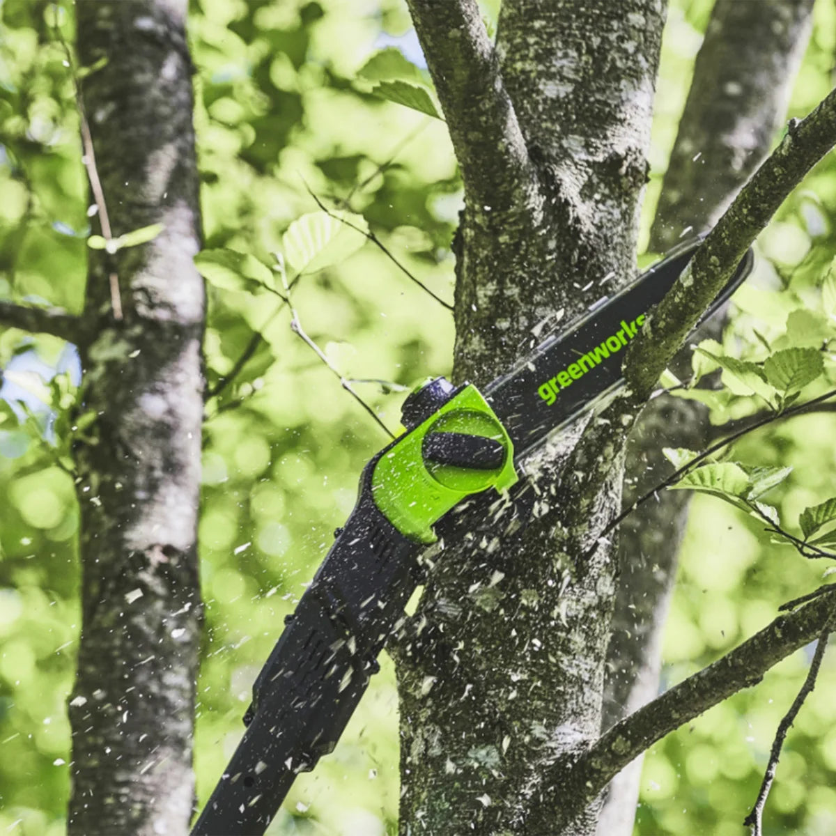 Greenworks Pro 80V 10