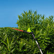 Greenworks Pro 80V 10