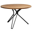 Chinook 5-piece Dining Set