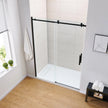 OVE Decors Kelsey 60 in. Sliding Glass Shower Door with Hardware