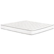 Arianell 20.3 cm (8 in.) Mattress