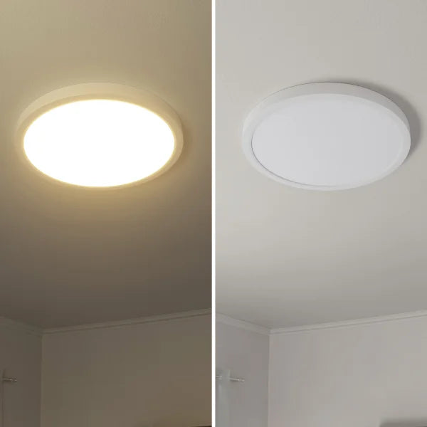 Bazz Lunas LED  Flush Mount Ceiling Light