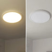 Bazz Lunas LED  Flush Mount Ceiling Light