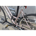 Erickson Adjustable Bicycle Carrier with Lock Kit