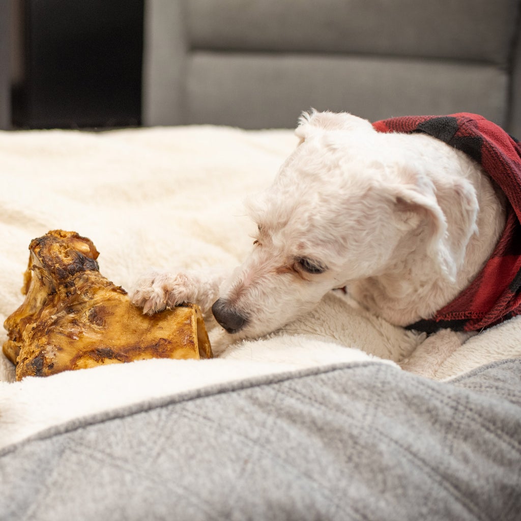 Masters Best Friend 100% All-natural Beef Knuckle Dog Treat, 10-count