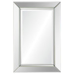 Rogue Rectangular Mirror with Beveled Mirror Frame