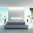 Springwall Chiropractic Green Hybrid 35.5 cm (14 in.) Mattress