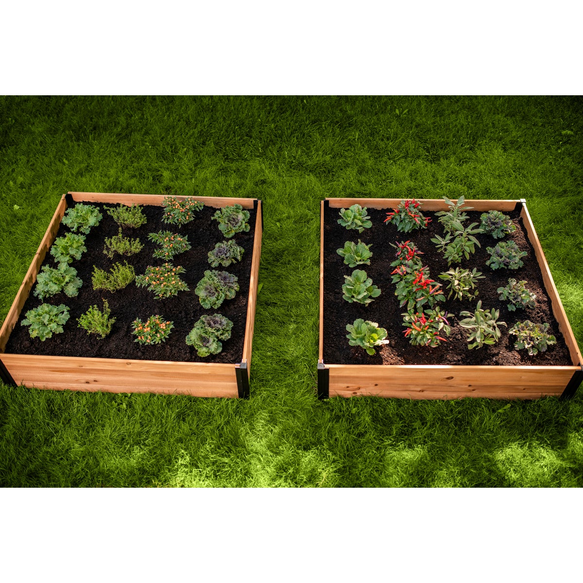 Mezza 4 ft. x 4 ft. Garden Bed, 2-pack