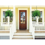Boston Fern Hanging Baskets - 2 Pack
