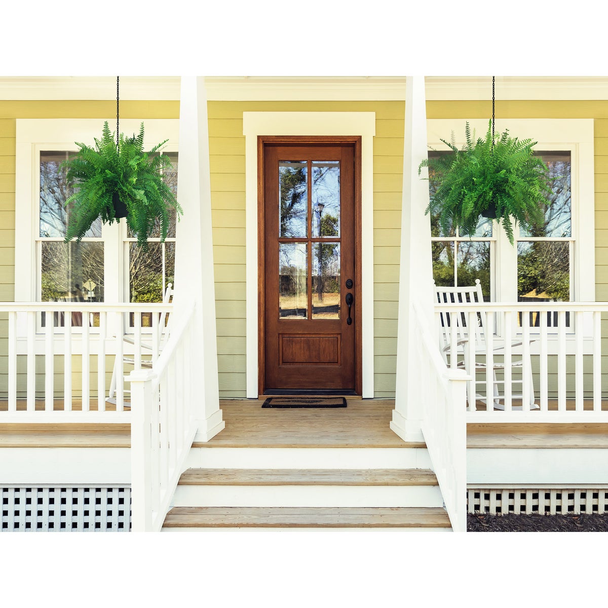 Boston Fern Hanging Baskets - 2 Pack
