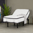 Arianell 30.5 cm (12 in.) Mattress with Adjustable Base