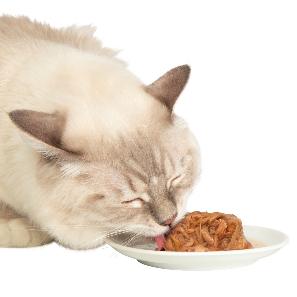 Catit Assorted Cat Food Dinners, 24 x 80 g (2.8 oz)