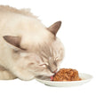 Catit Assorted Cat Food Dinners, 24 x 80 g (2.8 oz)
