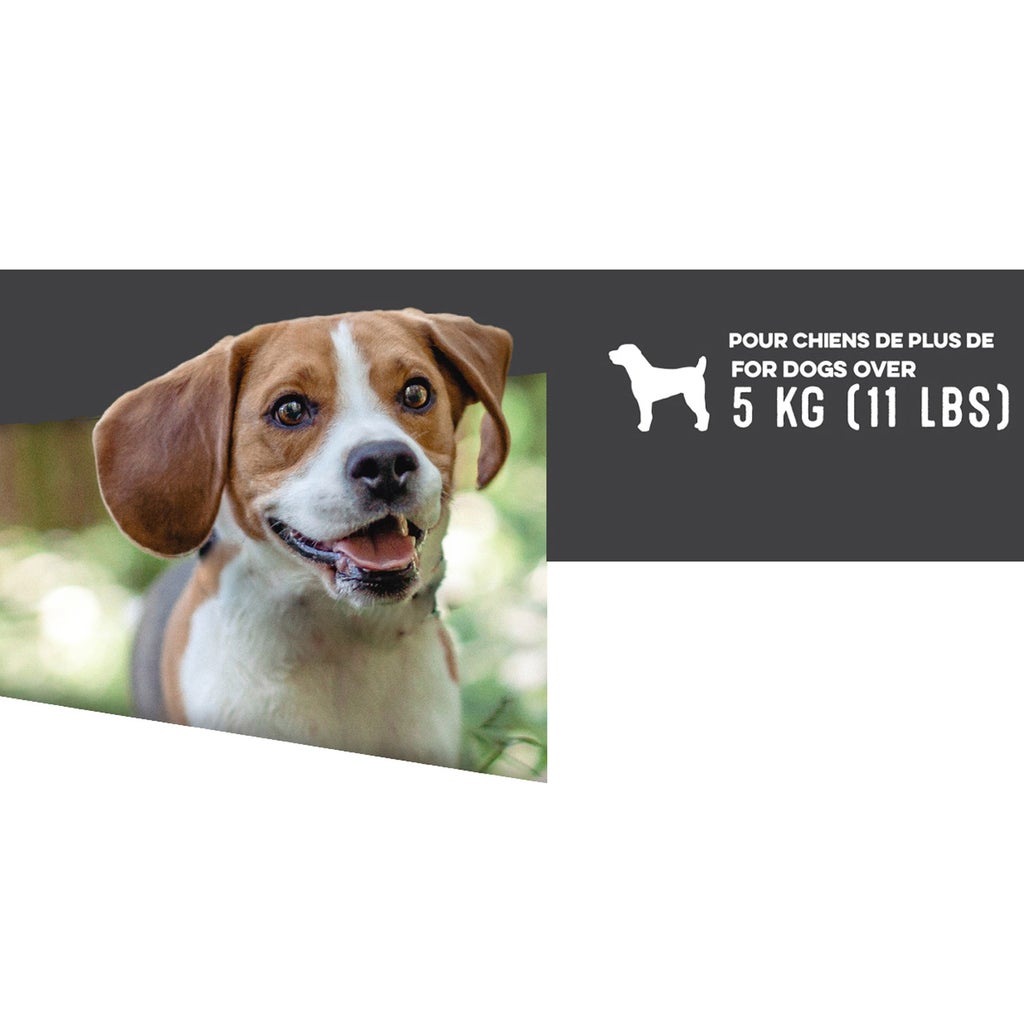 Zeus Ranger SC Anti-Bark Collar with Static Correction