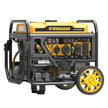 Firman 3,500 Running / 4,400 Peak Dual Fuel Open Frame Inverter