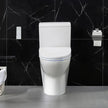OVE Decors Bliss Smart Bidet Toilet