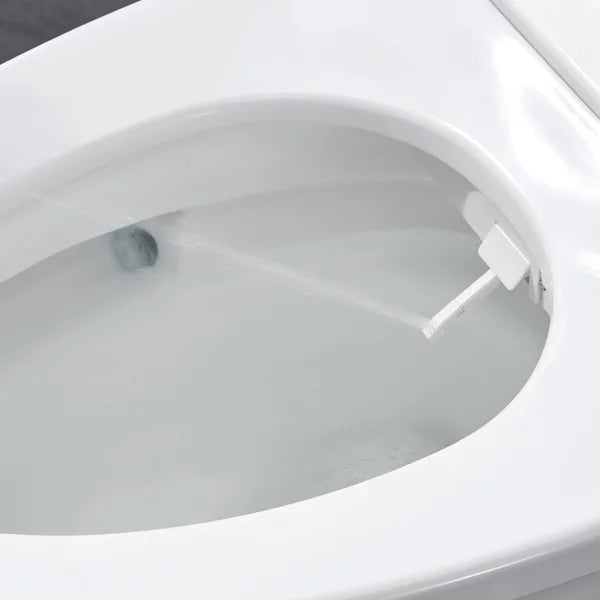 OVE Decors Bliss Smart Bidet Toilet