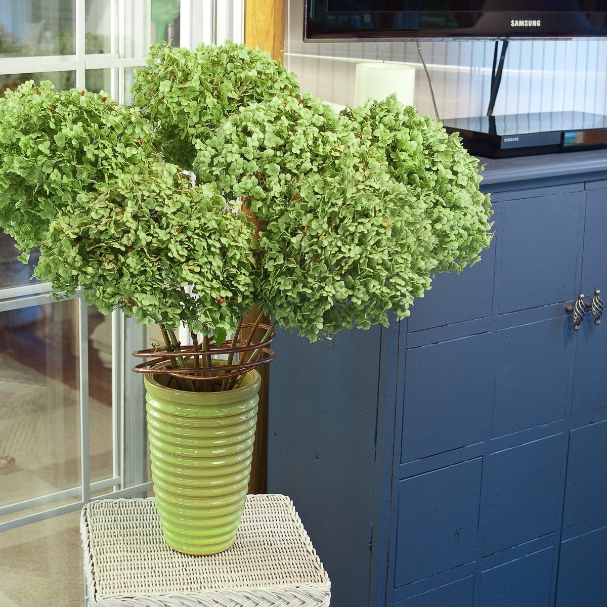 PW Hydrangea Incrediball